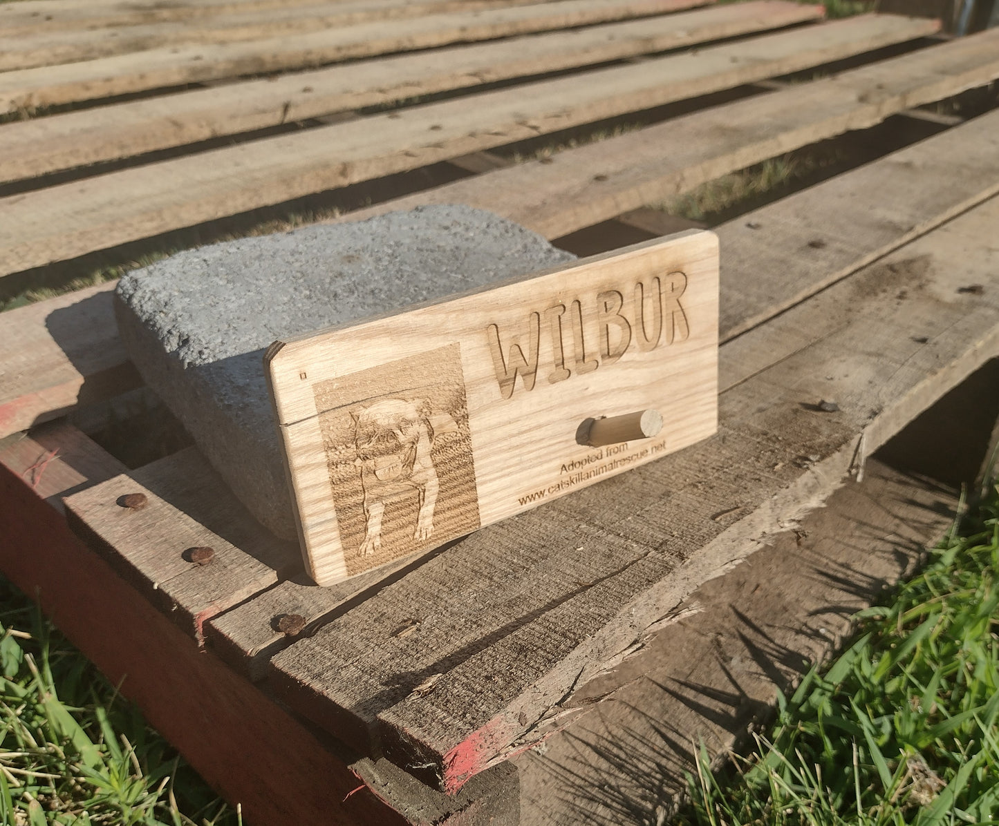 Personalized Leash Holders (College Fundraiser)