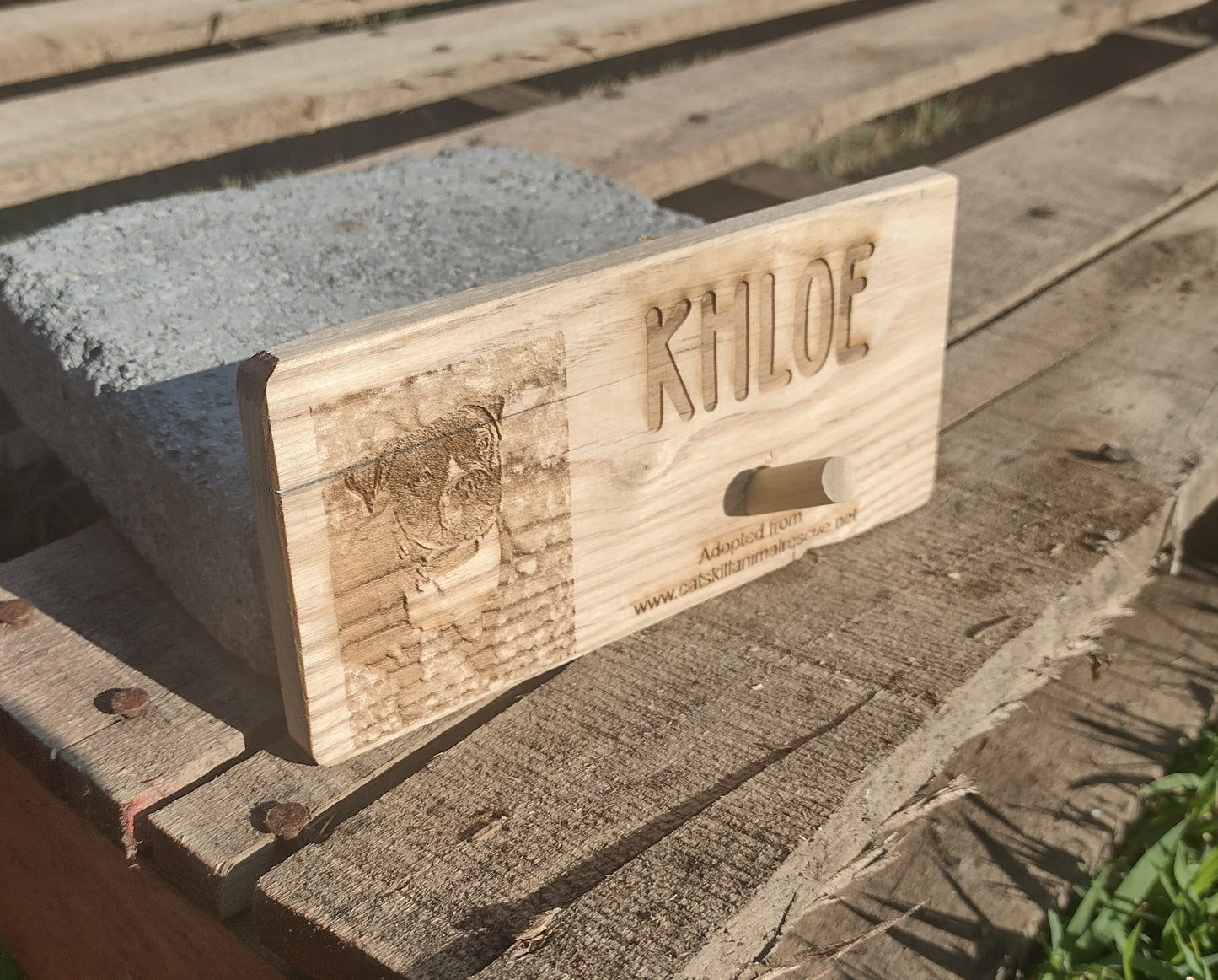 Personalized Leash Holders (College Fundraiser)