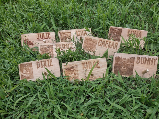 Personalized Leash Holders (College Fundraiser)