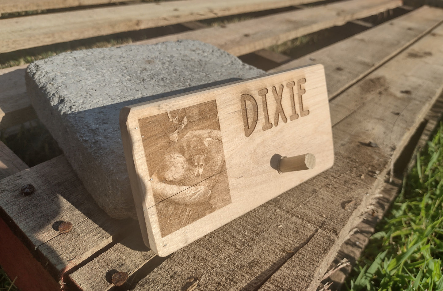 Personalized Leash Holders (College Fundraiser)